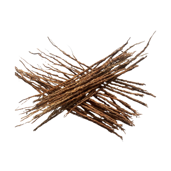 Racine de Vétiver (Khamaré) – 6 Tiges Infusion Détox et Parfum Naturel